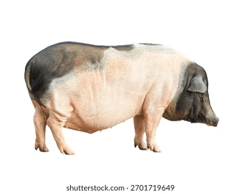 Матвёк